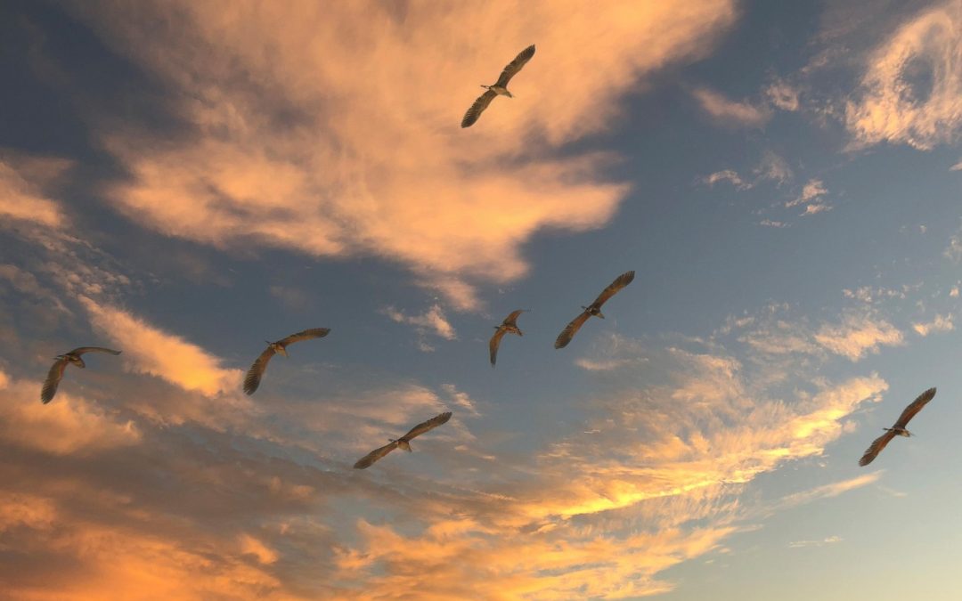 Kebijakan Visa Kunjungan yang Perlu Diketahui Wisatawan di Tulang Bawang Barat.